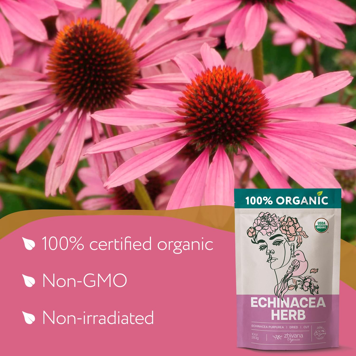 Echinacea Tea Organic (10oz.) – Echinacea Purpurea Herb Loose Leaf - Equinacea Organica - Body Defenses, Immune Support Tea