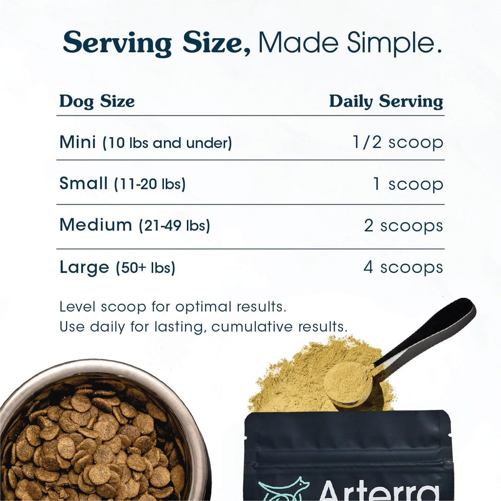 Senior Dog Powder Supplement & Food Topper – 63 Ingredients for Joint, Gut, Immune & Brain Health – Daily Longevity Multivitamin with Glucosamine, Probiotics, and Fish Oil | 60 Scoops