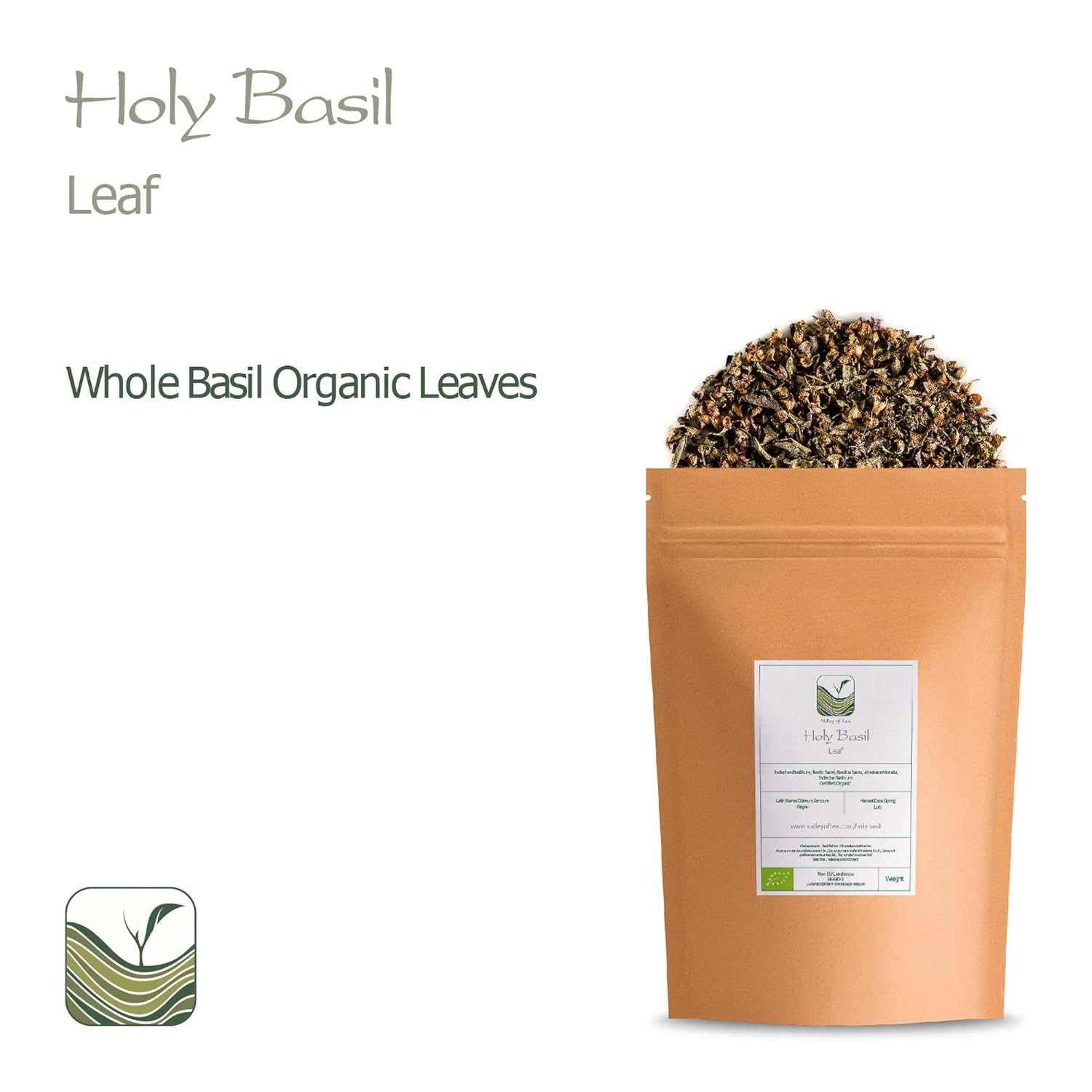 Tulsi Holy Basil Organic Tea - Sweet Green Delicacy - Herbal Thulasi or Tulasi - Holy Basil Herb Tea Organic Holy Basil Tea Organic Tulsi Tea Dried Tulsi Holy Basil Dried Tulsi Basil Holy