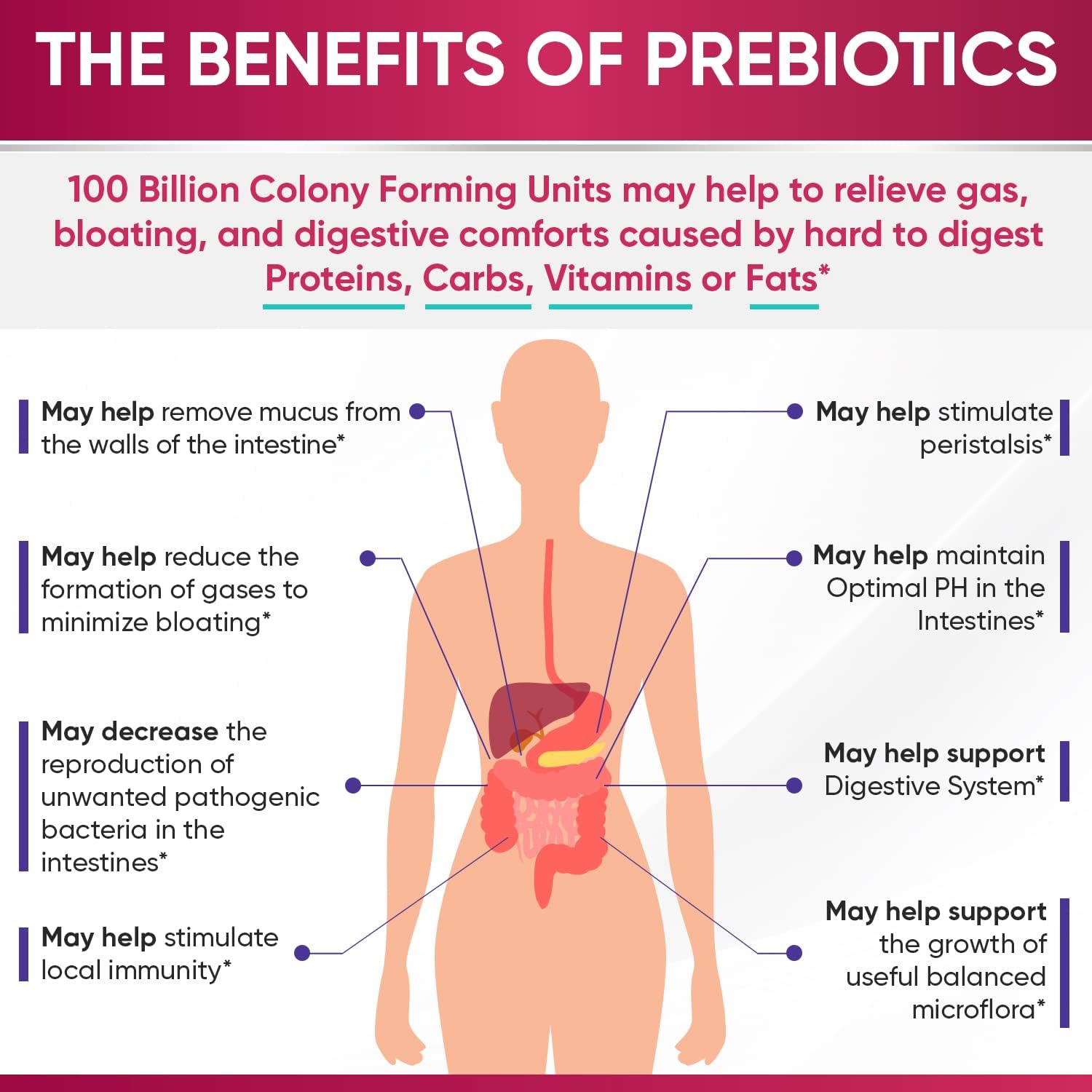 Wholesome Wellness Dr. Formulated Raw Probiotics for Women 100 Billion CFUs Capsules with Prebiotics, Digestive Enzymes, Approved for Adults, Shelf Stable Supplement