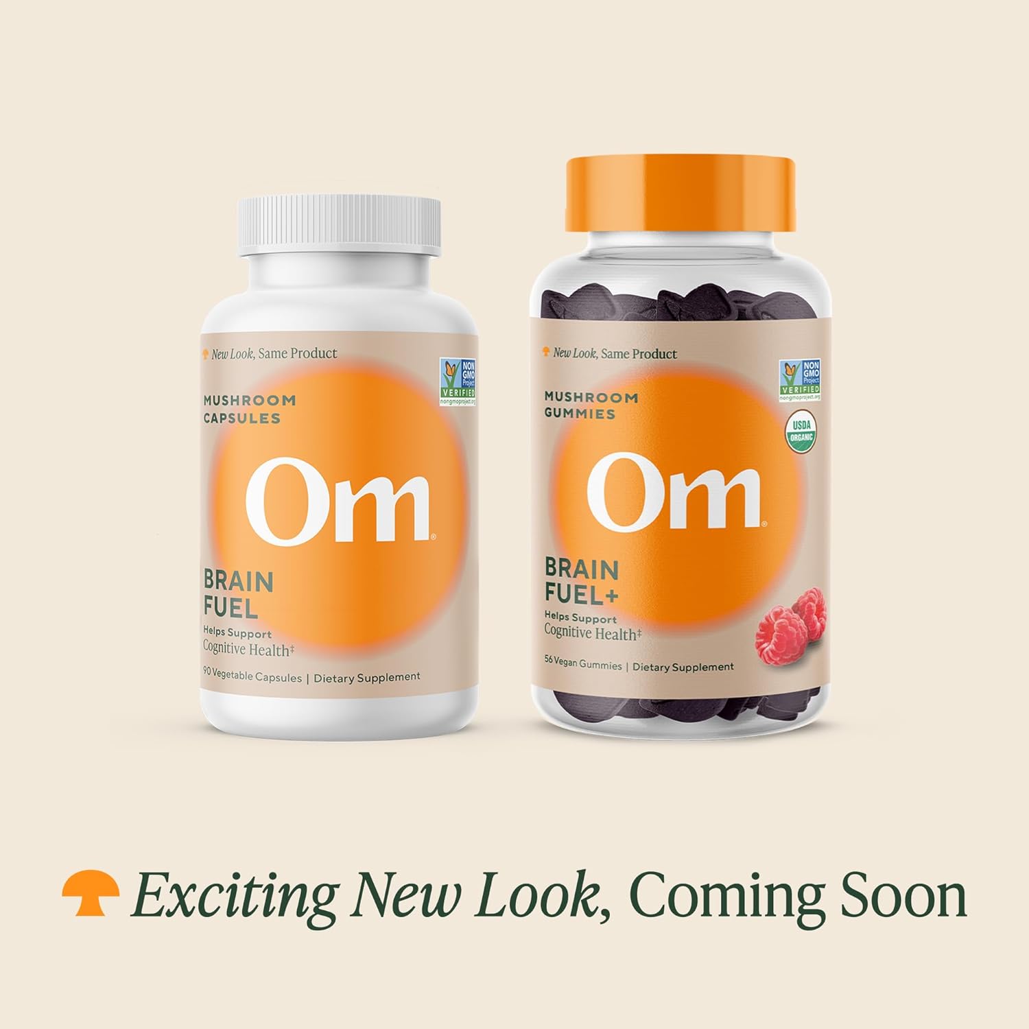 OM MUSHROOM SUPERFOOD Brain Fuel+ Gummies, 28 Servings, Raspberry Gummy Supplement with Lion’s Mane for Memory and Focus