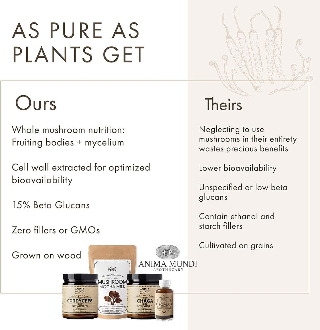 Anima Mundi Apothecary Chaga Mushroom Powder - Organic Chaga Mushroom Powder - Immune System Support Supplement - Great for Tea, Coffee and More (5oz)