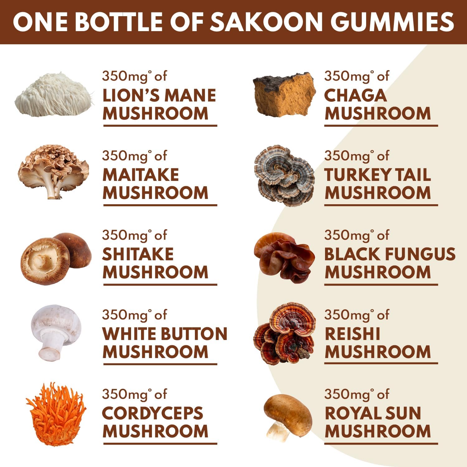 Sakoon nutrition Lions Mane Mushroom Gummies with Turkey Tail, Reishi & More, 2500mg, 60 Count, Raspberry Flavored