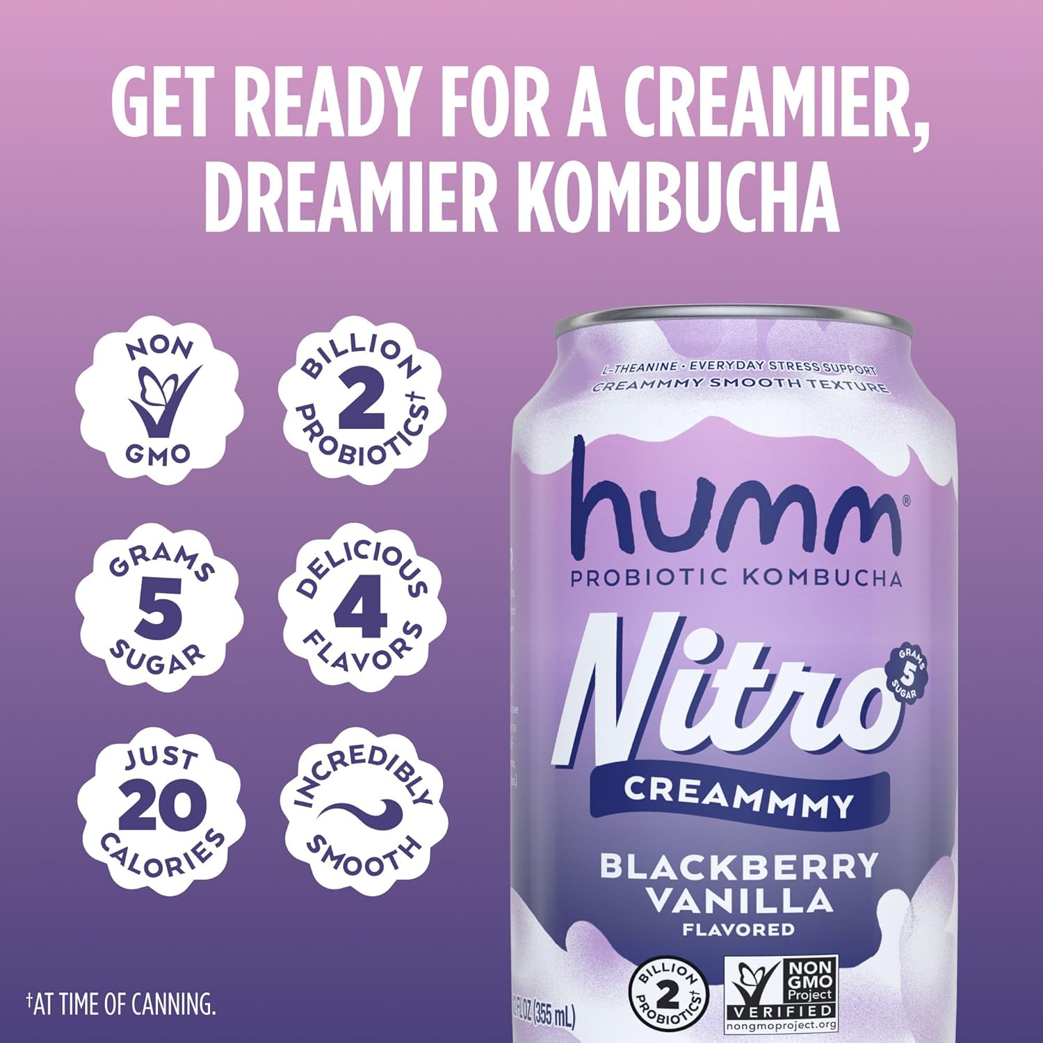 Humm Nitro Kombucha Variety Pack, Creamy Smooth Probiotic Drink with L-Theanine, Includes Blackberry Vanilla, Orange Dream Pop & Strawberry Vanilla, Non-GMO, Vegan, Gluten Free, 12 fl oz (Pack of 24)