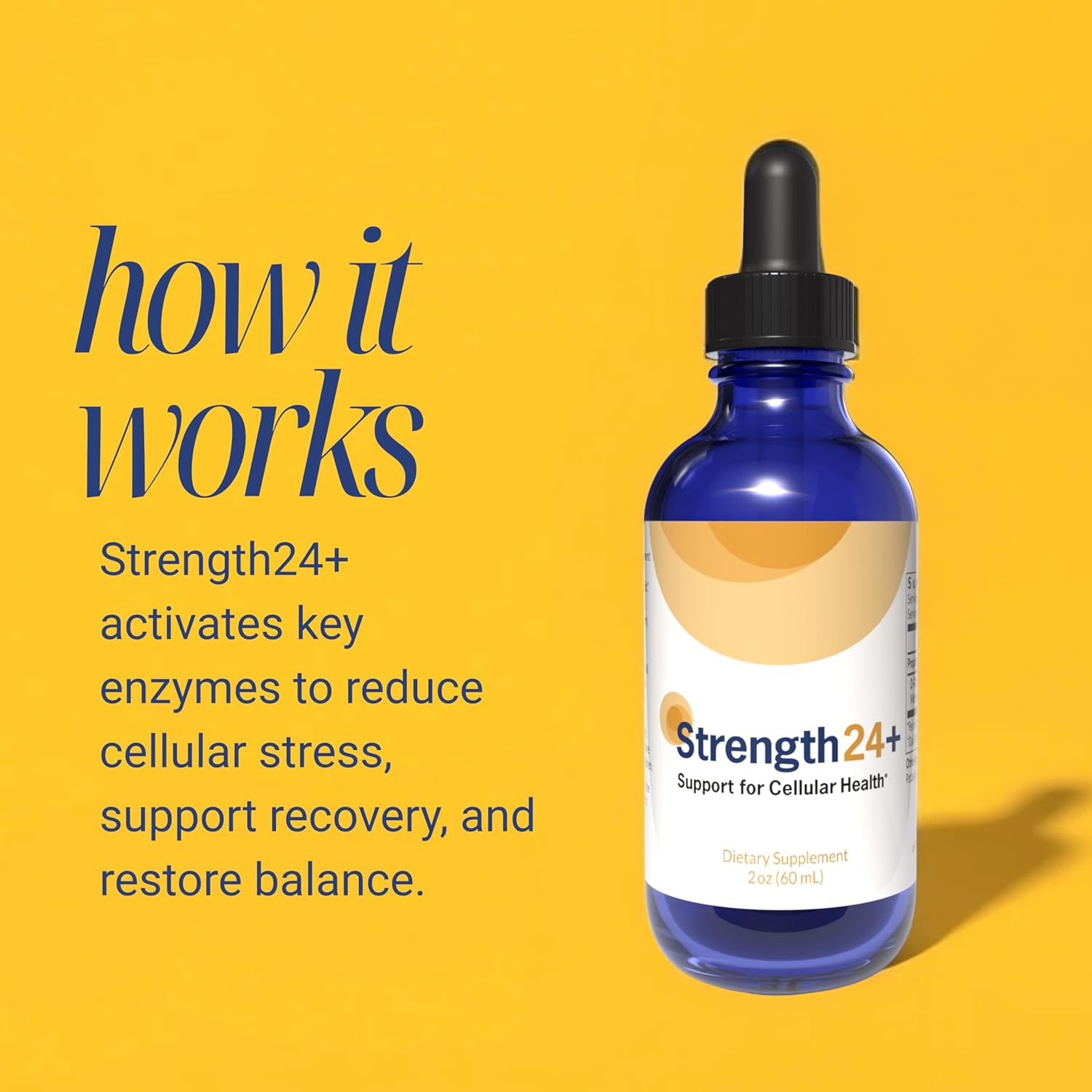 Strength24+ Dietary Supplement for Cellular Health, Muscle Recovery, and Vibrant Aging
