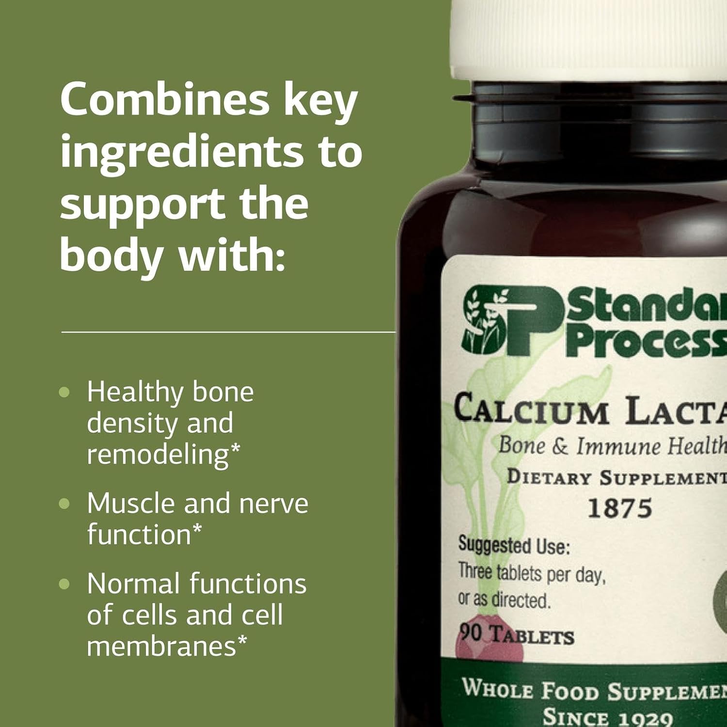Standard Process Inc. Calcium Lactate - Immune Support and Bone Strength - Bone Health and Muscle Supplement with Magnesium and Calcium - 90 Tablets