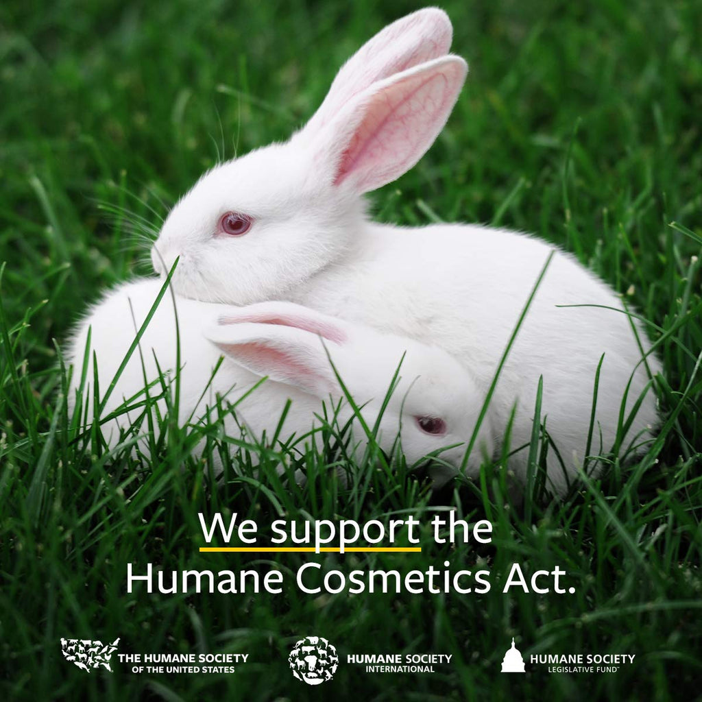 US Organic 100% Pure Sweet Orange Essential Oil - USDA Certified Organic - 30 ml Pack of 2 - w/Improved caps and droppers (More Size Variations Available)