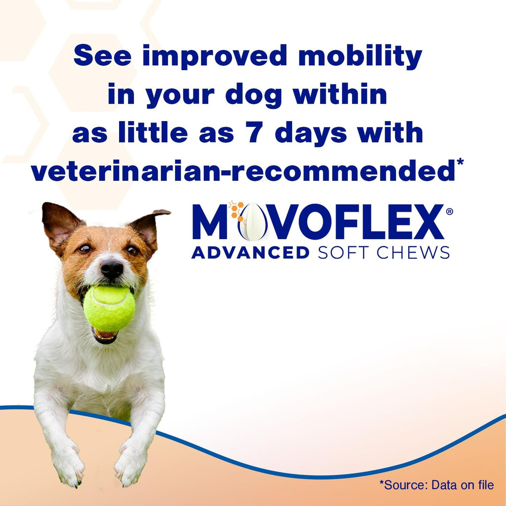 MOVOFLEX Advanced Soft Chews Hip and Joint Support Supplement for Small Dogs 60 Count by Virbac
