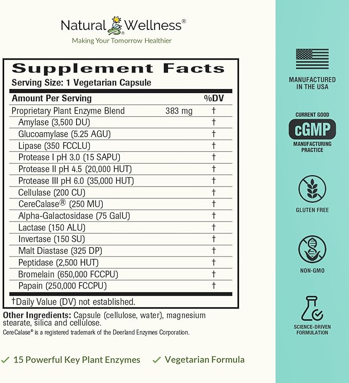 Natural Wellness Digestive Enzymes – Comprehensive Enzyme Blend for Healthy Digestion, Nutrient Absorption & Relief from Gas, Bloating & Indigestion – 60 Vegetarian Capsules