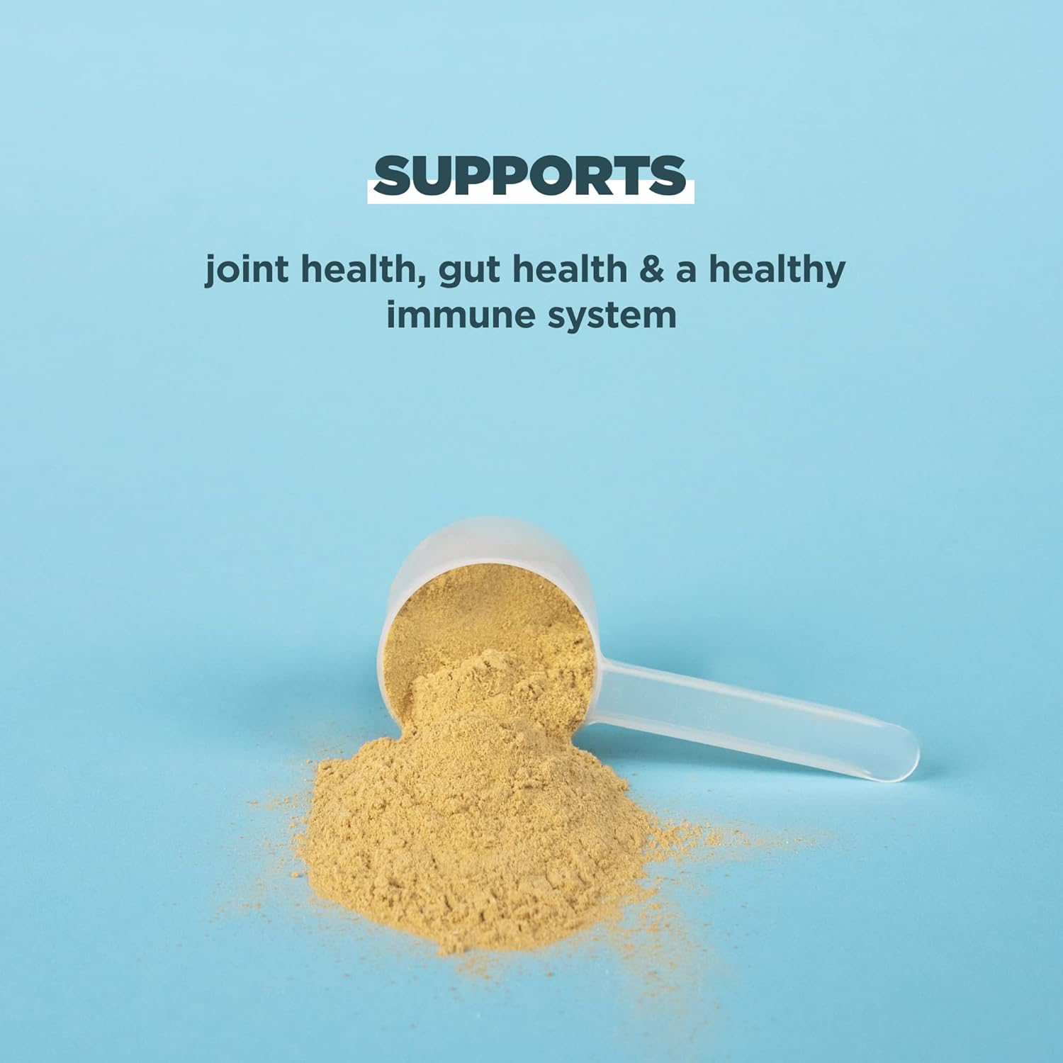 Ancient Nutrition Grass Fed, Cage Free, Bone Broth Protein Powder, 20g Protein, Hydrolyzed Collagen Peptides, Keto & Paleo Friendly, Supports Joint & Gut Health, Pure, 40 Servings