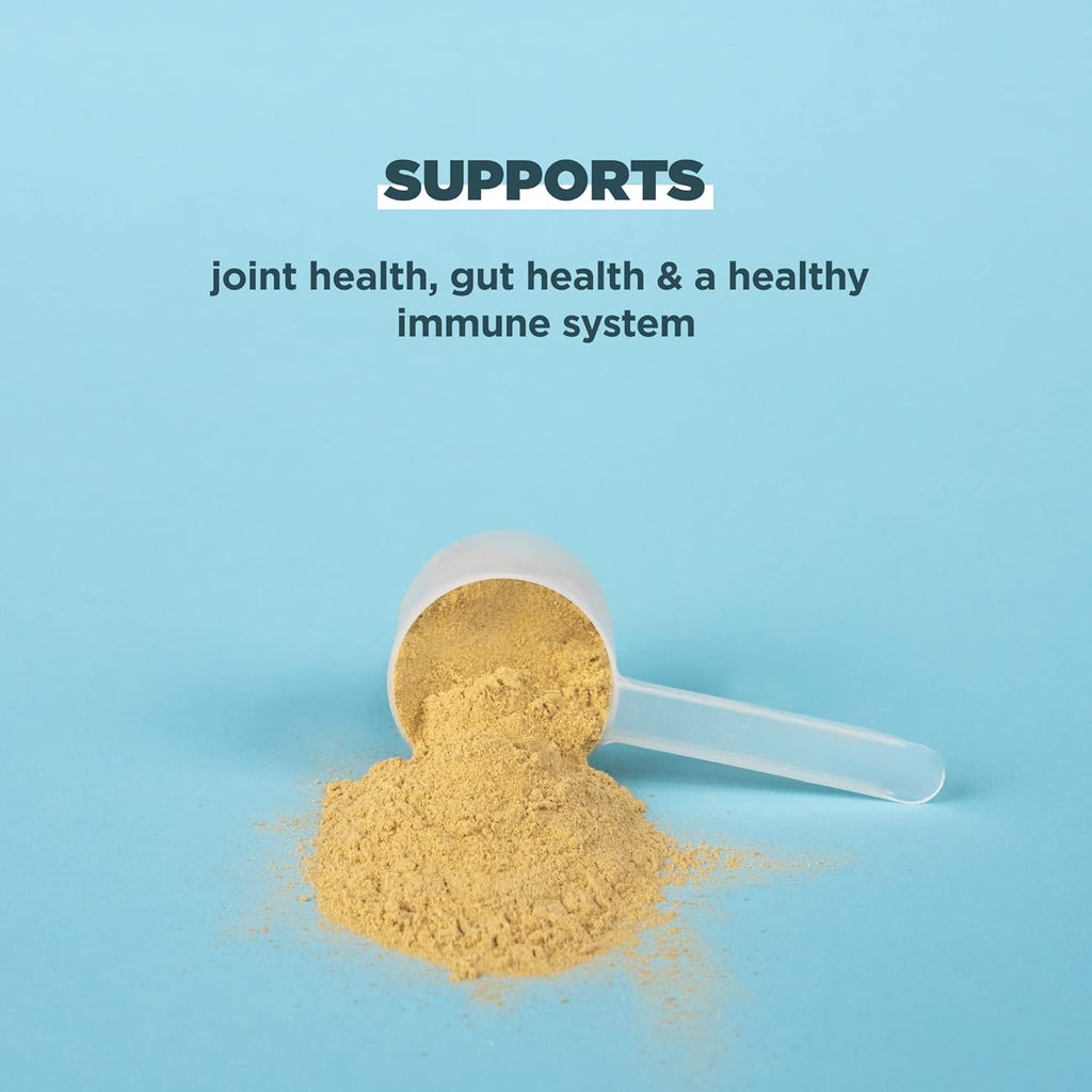 Ancient Nutrition Grass Fed, Cage Free, Bone Broth Protein Powder, 20g Protein, Hydrolyzed Collagen Peptides, Keto & Paleo Friendly, Supports Joint, Gut Health, Vanilla, 40 Servings