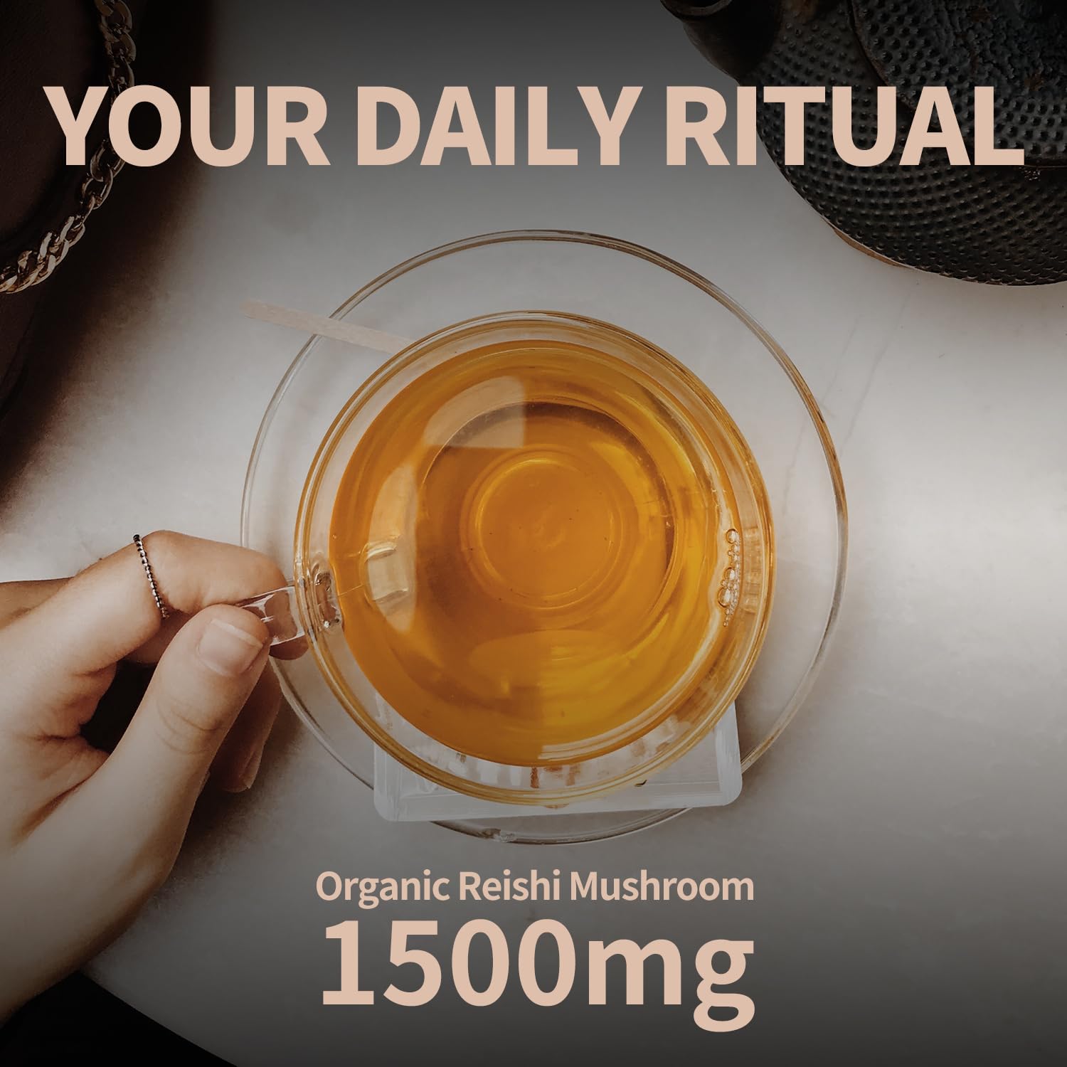 GANOHERB Reishi Mushroom Tea, Adaptogen Ganoderma Lucidum Herbal Tea for Immune Health Boost, Stress Relief, Caffeine-Free, No Sugar, 25 Count (Pack of 1)