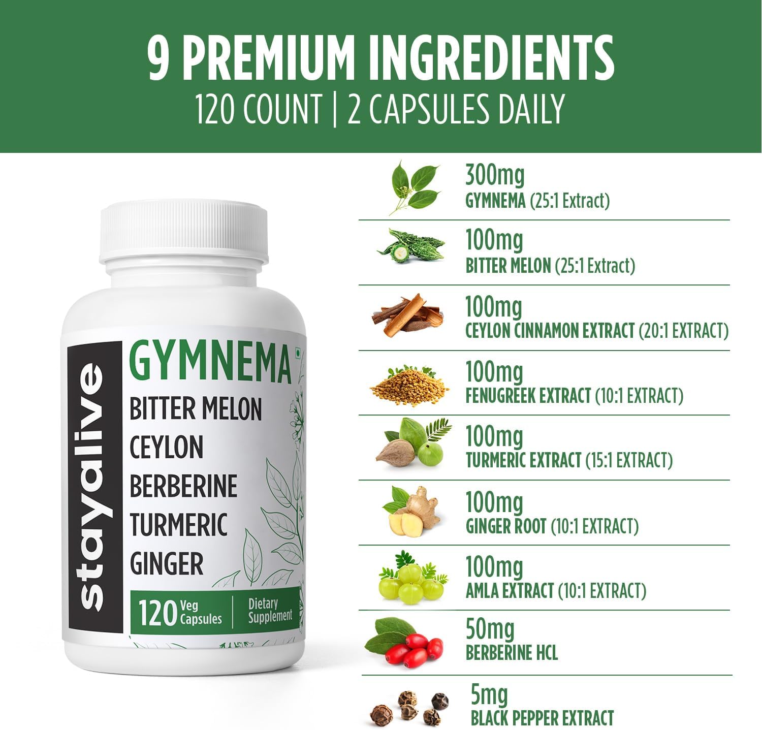 STAY ALIVE Gymnema Sylvestre 25:1 Extract, 120 Capsules with Bitter Melon, Ceylon Cinnamon, Berberine, Turmeric, Ginger, Amla Powder and Fenugreek, Non-GMO & Gluten Free Gymnema Sylvestre Supplement