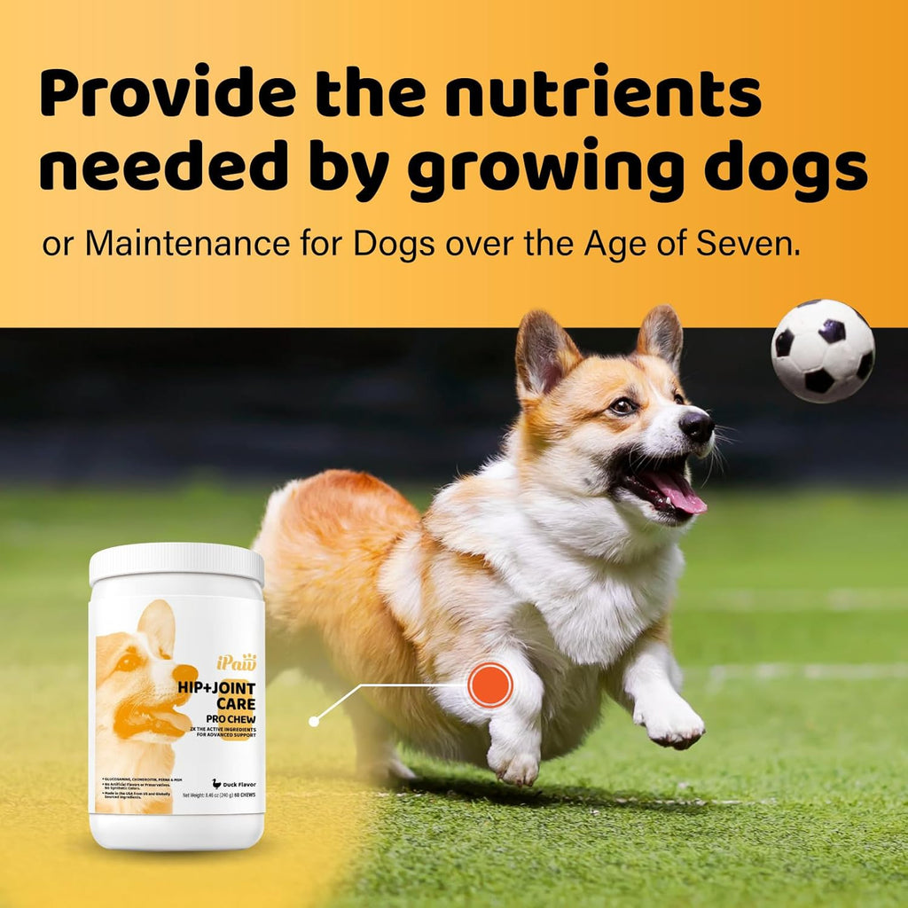 iPaw Hip and Joint Care Pro Dog Chews, Dog Joint Supplement, Glucosamine and Chondroitin Treats, Made in USA, Duck Flavor (60 Chews)