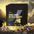 Pure Himalayan Shilajit Gummies, micronutrient Supplement, Himalayan Premium Ingredient with Shilajit - Ashwagandha, Gokshura, Fulvic Acid & 85+ Trace Minerals I for Men, Women I Non-GMO
