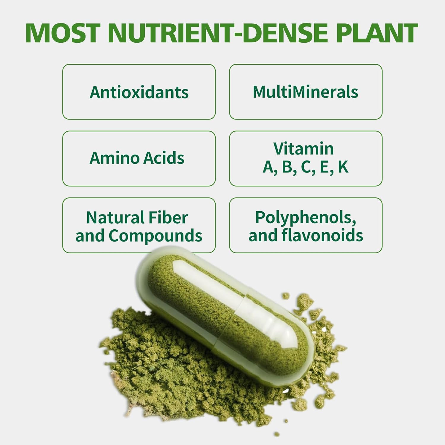 Moringa Capsules with Pure Moringa Powder | Skin Health and Immune Support | Non GMO, Gluten Free