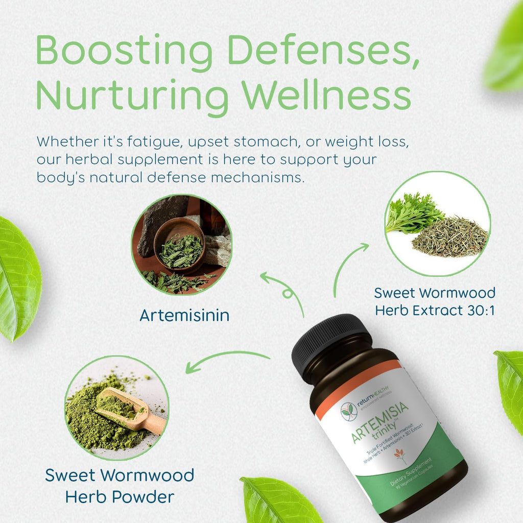 Artemisia Trinity | Cleansing for Adults with Wormwood Herb & Artemisinin 30:1 Extract | Resistance & Digestive Support | Herbal Supplements | Pure, Plant-Based, 90 Caps