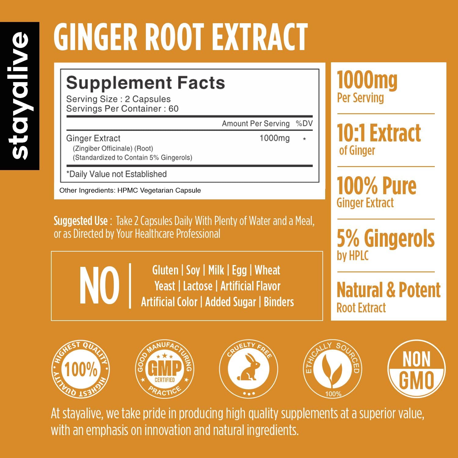 STAY ALIVE Pure Ginger Root Capsules 1000mg, 10:1 Extract Powder with 5% Gingerols, 120 Pills, Extra Strength Root Powder, Vegan, Non-GMO and Gluten-Free Ginger Supplement