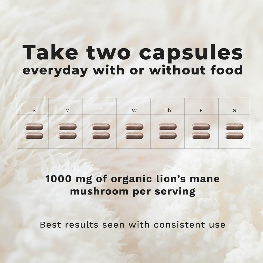 LifeSeasons Essentials Lion's Mane Mushroom - Support Healthy Brain Function & Emotional Balance - Stimulate Nerve & Brain Cell Growth - Mood Enhancer - 1000mg per Serving - 60 Capsules