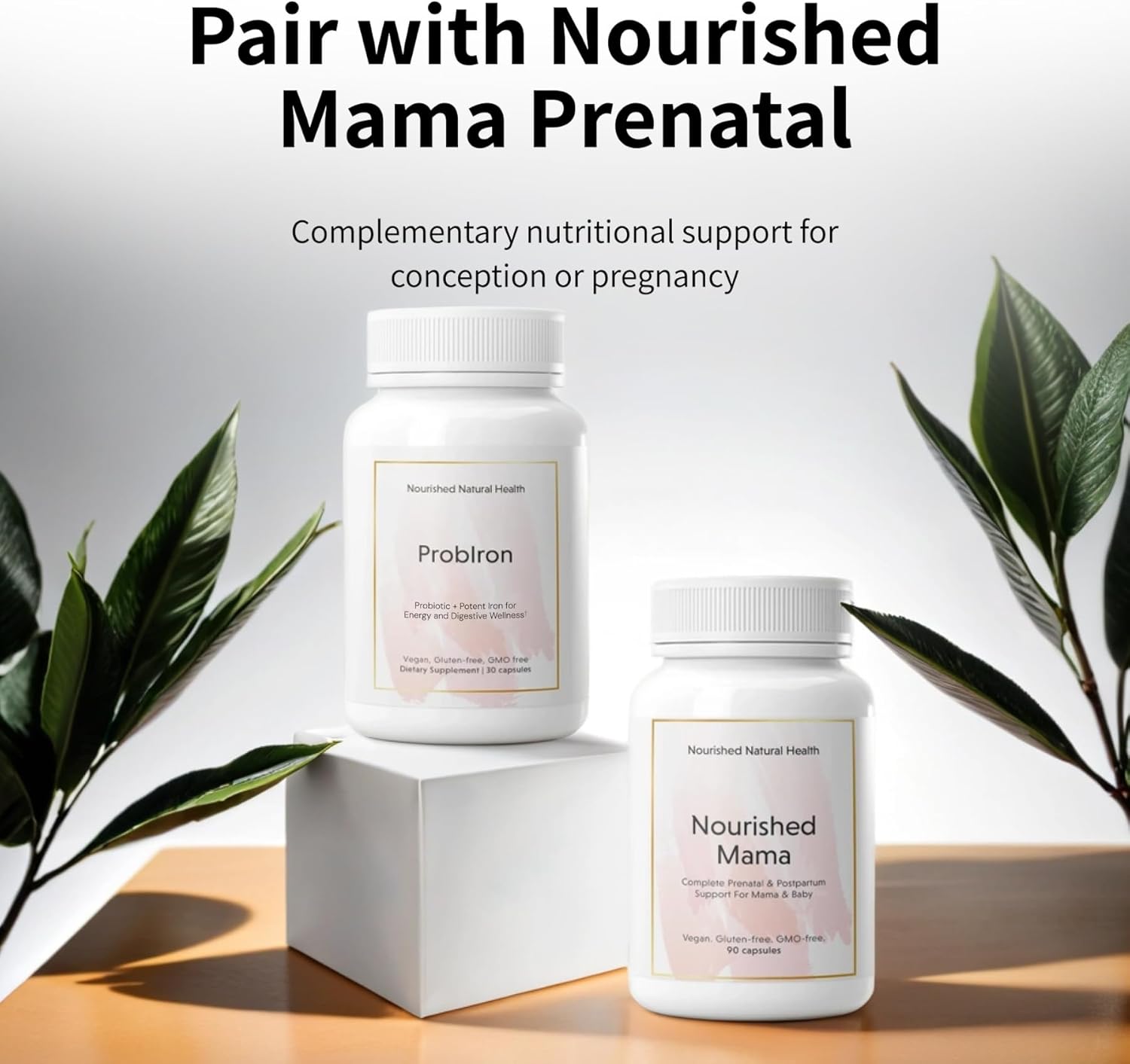 Nourished Natural Health ProbIron - Women's Probiotic + Iron Supplement Boosted with Vitamin C and Copper - Vegan Formula for Energy and Digestive Wellness - 90 Capsules