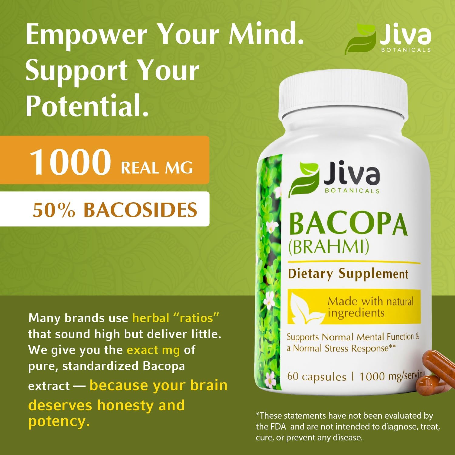 Jiva Botanicals Bacopa Monnieri Supplement Pure 1000mg per Serving - High Potency Bacopa Monnieri (Brahmi) & Extract for Normal Brain, Focus, & Memory Support - Ayurvedic Herbs - 60 Capsules