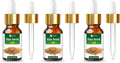 Salvia Flax Seed Oil – 3 Pack | Cosmetic Grade Carrier Oil for DIY Skincare, Haircare & Massage – 15ml / 0.51 Fl oz
