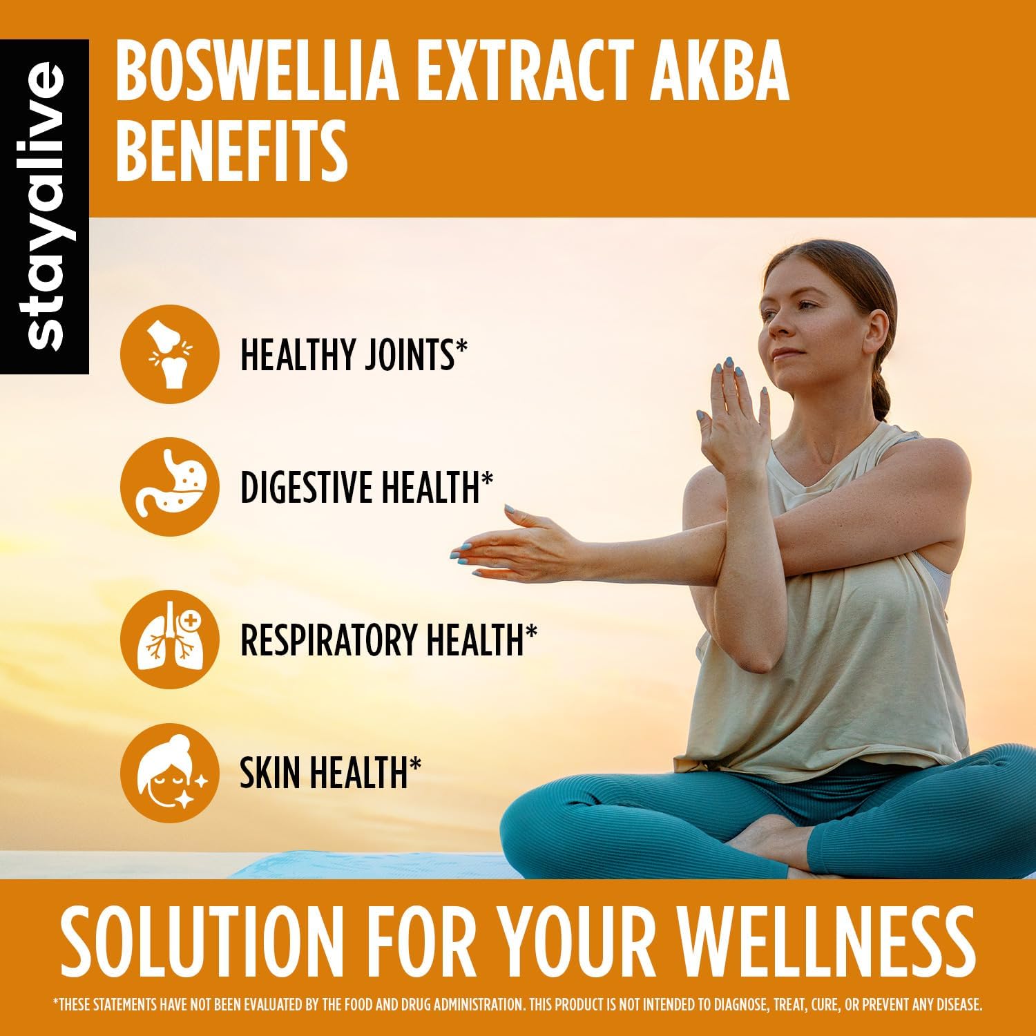 STAY ALIVE Boswellia Serrata Extract Capsules 1000mg with AKBA and 65% Boswellic Acid, 12:1 Resin Extract Powder, 120 Count for 2-Month Supply, Non-GMO and Gluten-Free Boswellia Supplement