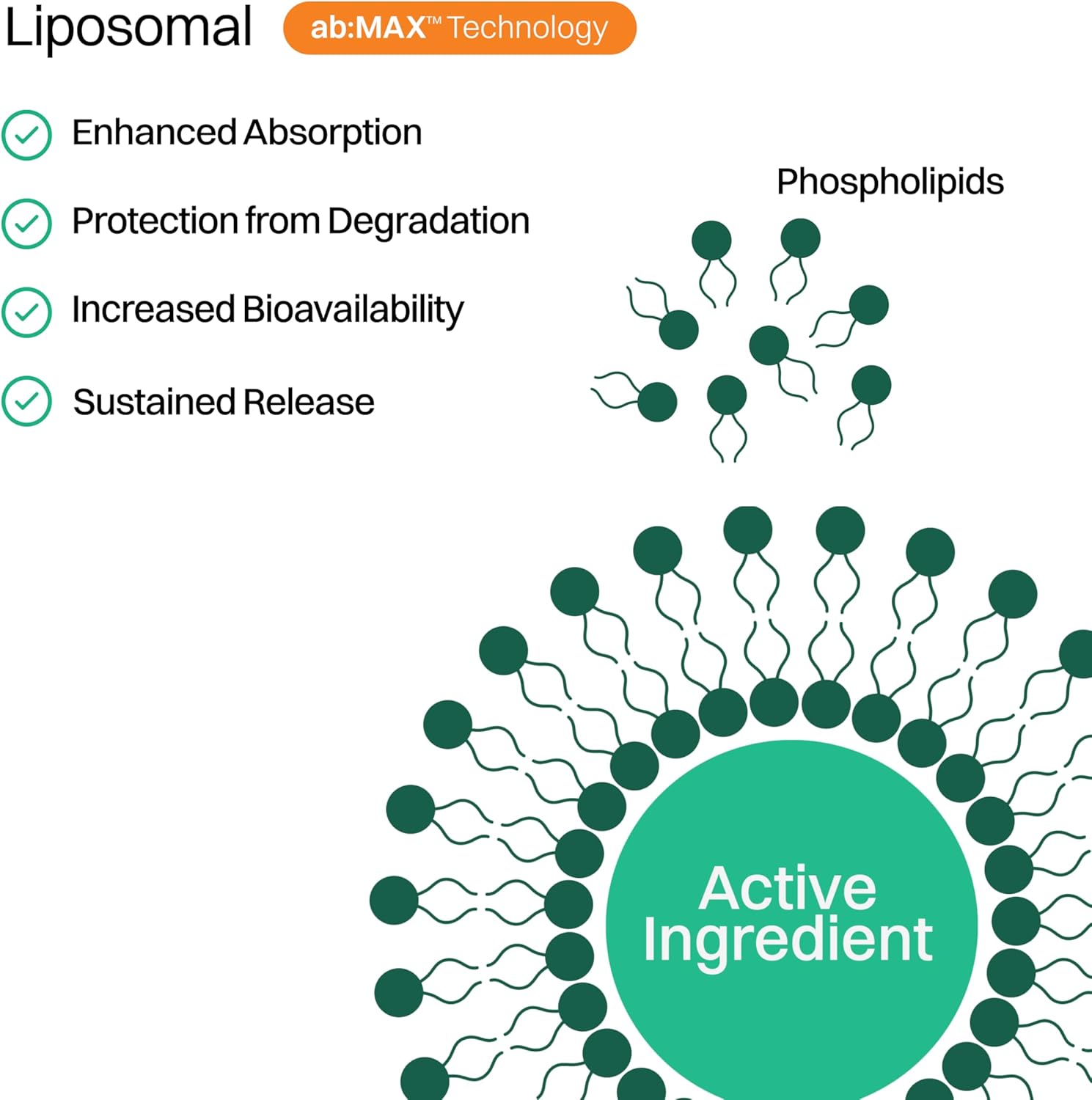 Liposomal Multivitamin Gummies for Men & Women, Orange Passion Fruit Flavor – 520 mg Liposomal Multi Complex with 14 Vitamins & Minerals, Immune Support & Antioxidant Defense – 30 Servings