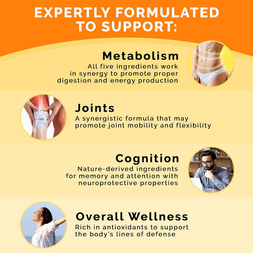 5-in-1 Ceylon Cinnamon Capsules 2355mg - Ceylon Cinnamon and Apple Cider Vinegar with Turmeric, Panax Ginseng, Cinnamon, and Bioperine, 120 ct