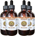 Astragalus Liquid Extract, Organic Astragalus (Astragalus membranaceus) Dried Root Tincture Supplement 4x4 oz