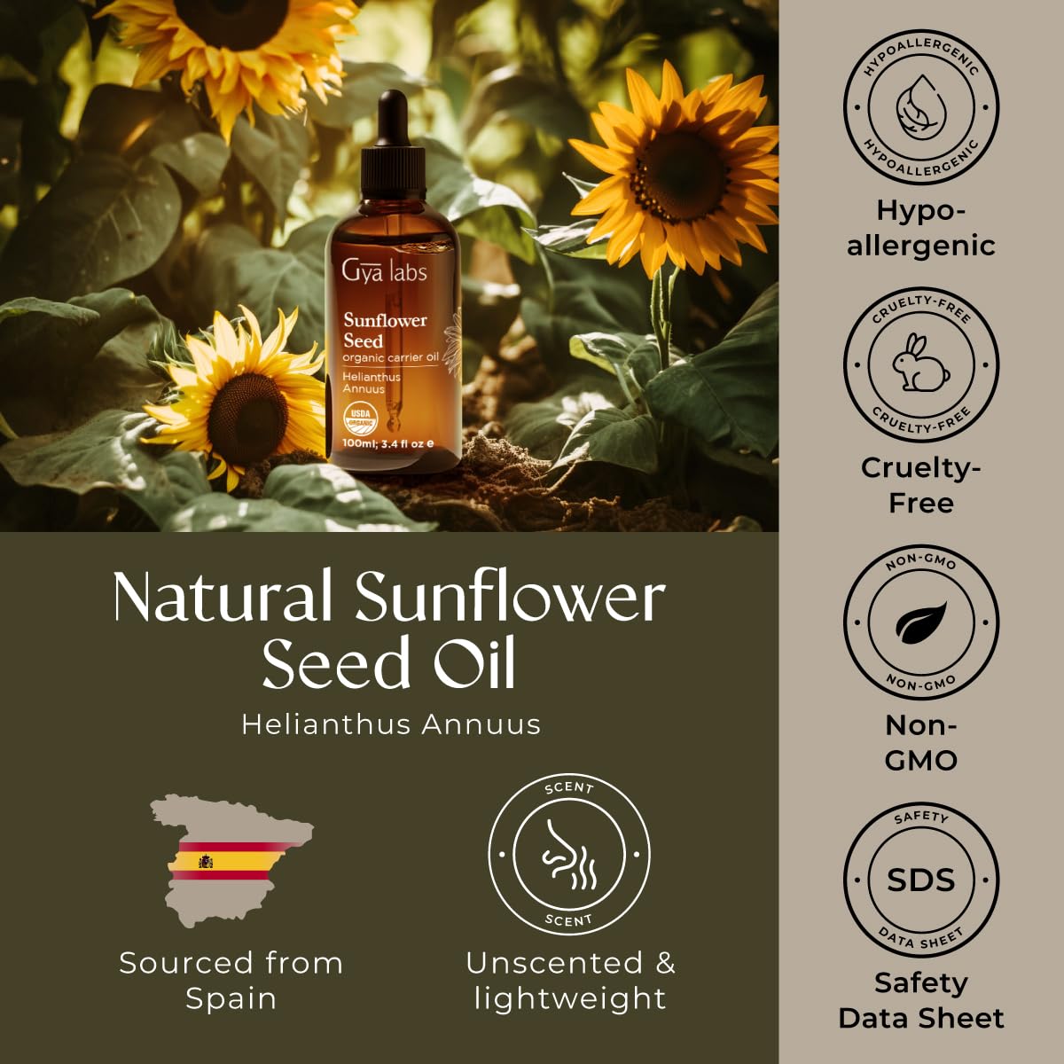 Gya Labs Organic Sunflower Oil for Skin - 100% Pure Natural Sunflower Seed Carrier Oil for Face, Hair, Scalp - Nourishing & Rejuvenating (3.4 Fl Oz)