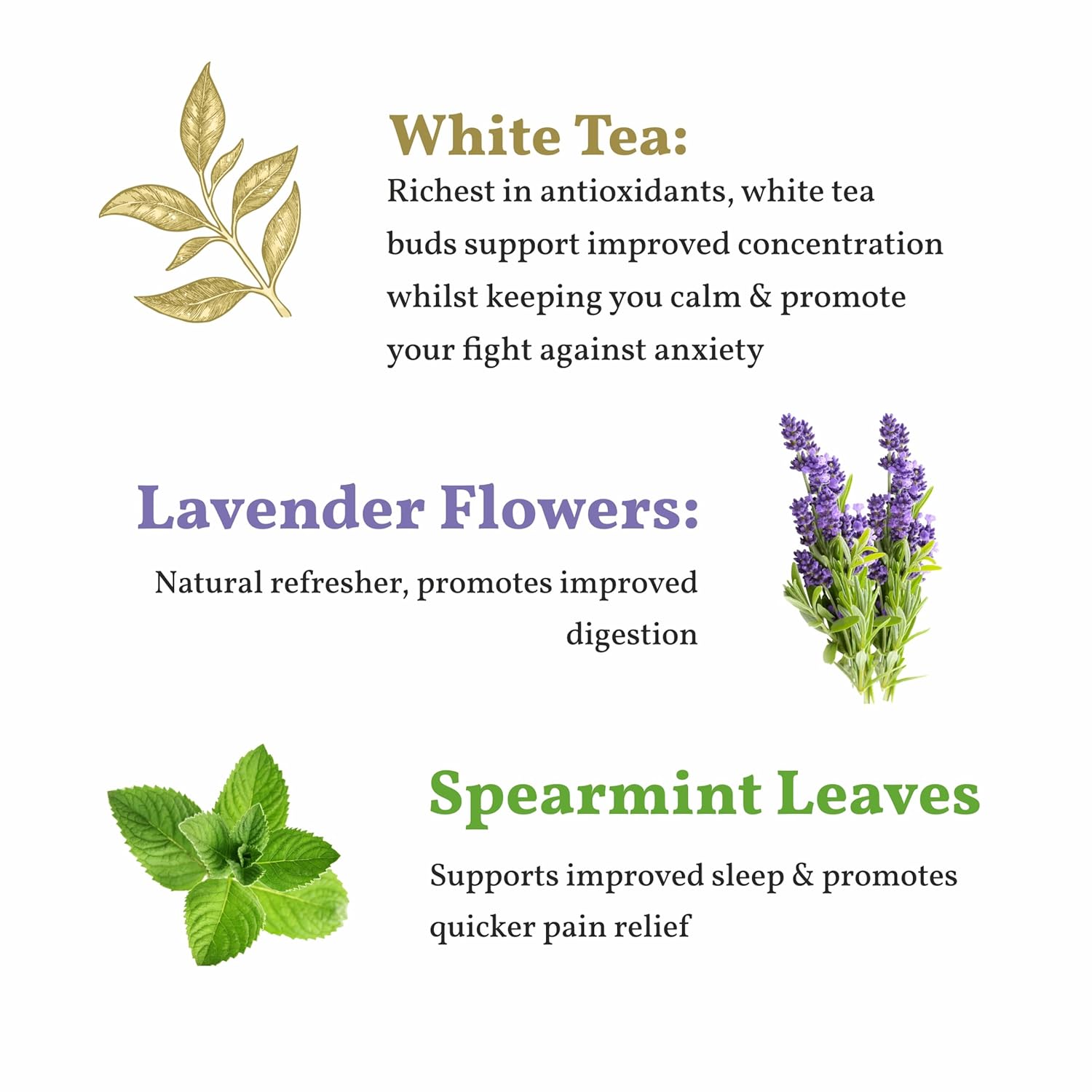 Sancha Tea Boutique Lavender White Tea | Hand Rolled Himalayan White Tea with Silver Needles | 25 Pyramid Bags | Relaxing & Calming Floral Blend