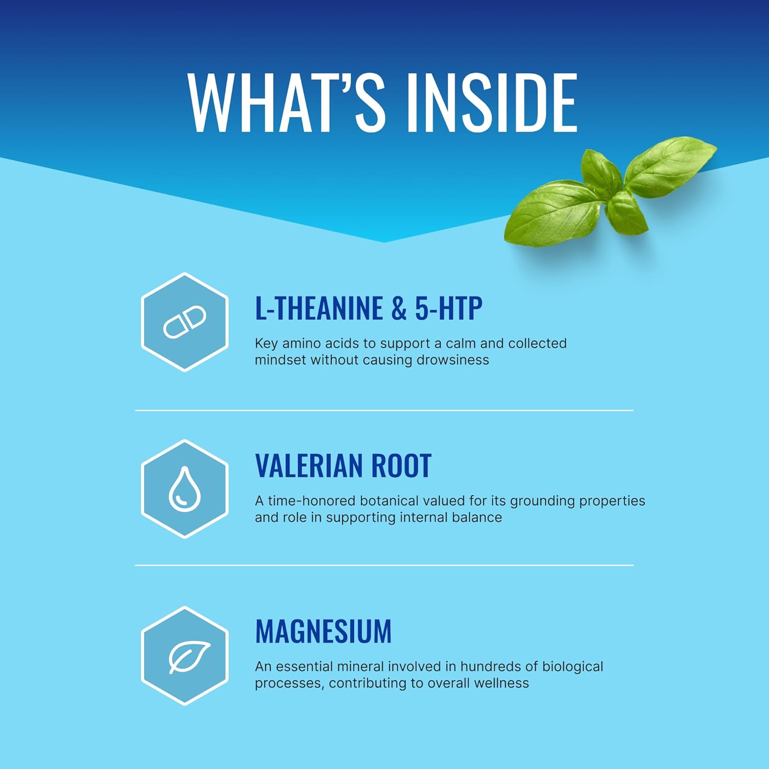 Approved Science Anxietex - Calm and Relaxation - L-Theanine and Magnesium - 60 Capsules - Vegan Friendly - 3 Month Supply