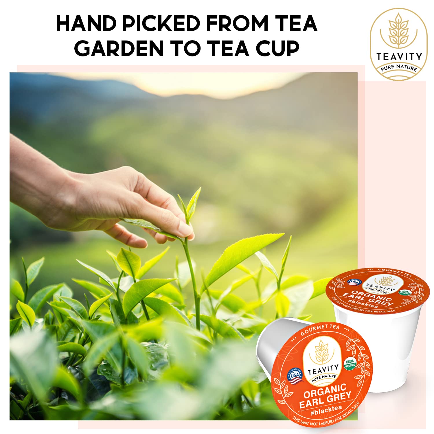 Organic Earl Grey Tea Pods for Keurig - Caffeinated Unsweet Black Tea for K Cup Brewing by Teavity (36 Tea Pods)