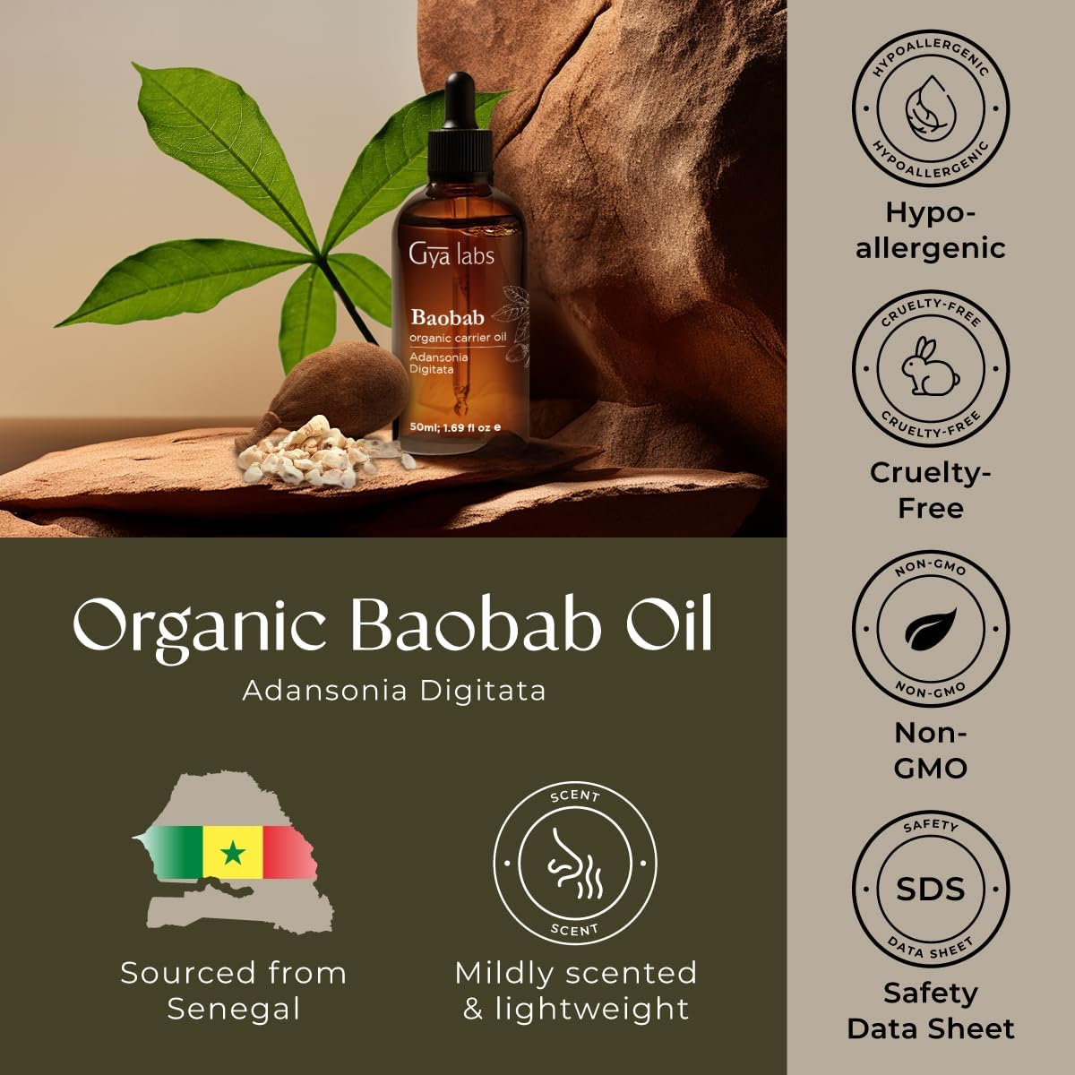 Gya Labs Organic Baobab Oil for Hair, Skin & Face - 100% Pure Natural Baobab Seed Carrier Oil - Comforting & Nourishing (1.69 Fl Oz)