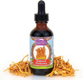 Dragon Herbs Cultured Cordyceps Drops Tibetan Wild Strain • Mushroom Supplement • Deep Rejuvenation, Lung & Brain Power, Stamina • Triple Extractions • Cordycepin • Vegetarian, 2 fl oz 60ml • Tincture
