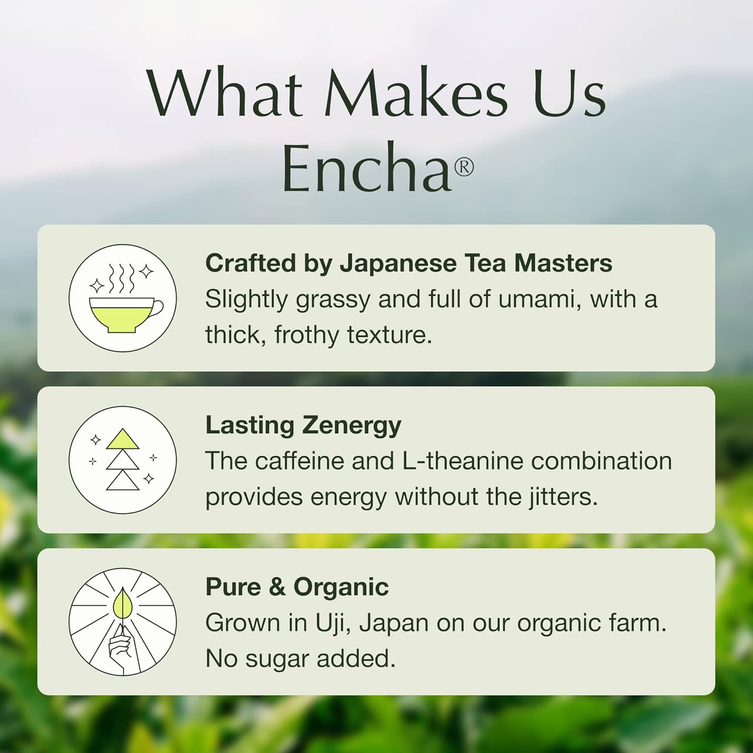 Encha Latte Grade Matcha Powder - First Harvest Organic Unsweetened Matcha Green Tea, From Uji, Japan (500g / 1lb) Premium Powder for matcha Latte, Smoothie | Caffeine, L-Theanine