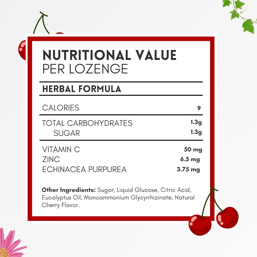 HERBION Naturals Zinc, Echinacea & Vitamin C Lozenges with Cherry Flavor, 25 CT - Dietary Supplement for Adults & Children 5+ - Promotes Wellness for The Whole Family - (Pack of 5) (125 Lozenges)