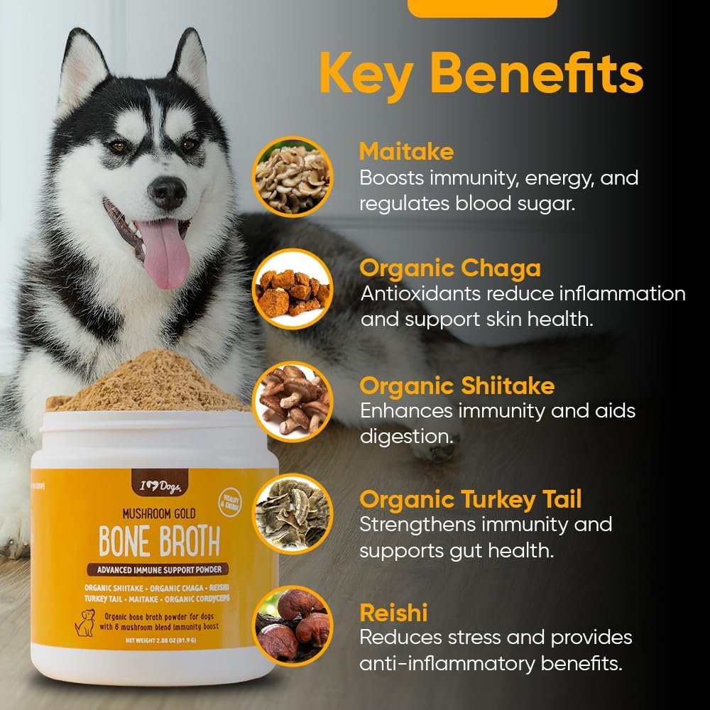 iHeartDogs Bone Broth & Collagen for Dogs - Bone Broth & Mushroom Gold Powder Supplement for Immune System Support, Improved Mobility & Flexibility and Natural Detox - Turkey Tail Mushroom for Dogs