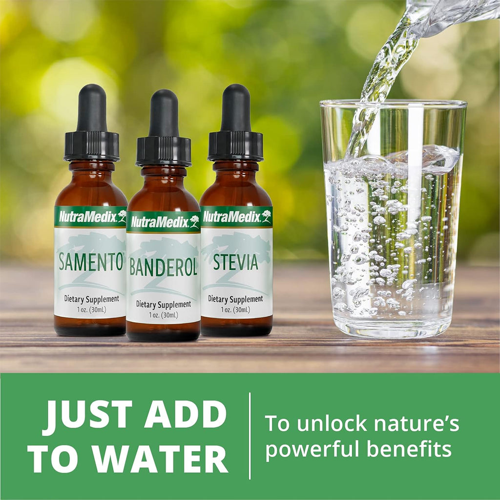 NutraMedix Barberry Immune Support & Antioxidants Supplement - Liquid Oregon Grape Root Extract for Gut Health, Immunity & Microbial Support - Herbal Tinctures for Immune Health (1oz / 30ml)