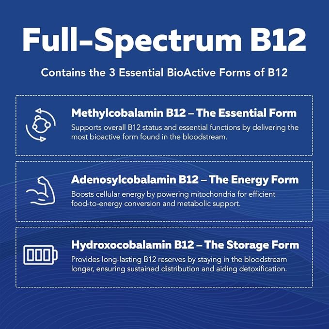 BioActive Vitamin B Complex - Blood Stream Ready, Methylated B Complex - Featuring Methylfolate, 3 BioActive Forms of B12, BenfoPure® B1 & Pantesin® B5 - 12 B Vitamins in Clinical Doses - Liquid 4 oz