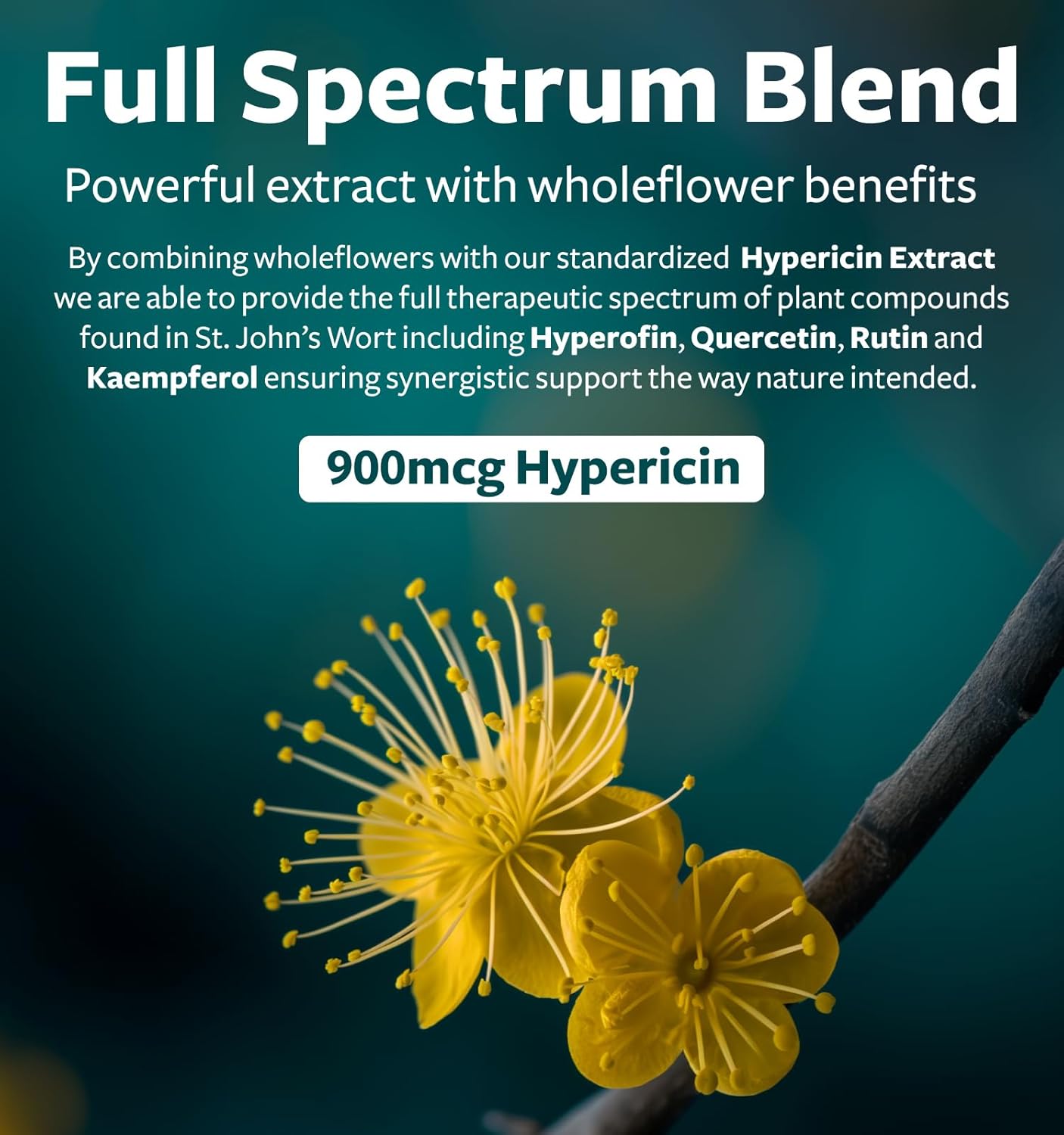 St John's Wort Capsules - Powerful & Potent Saint John's Wort Extract & Whole Herb Complex Standardized to 900mcg Hypericin for Balancing Daily Mood Support - Vegan Non-GMO & Lab Verified (60 Caps)