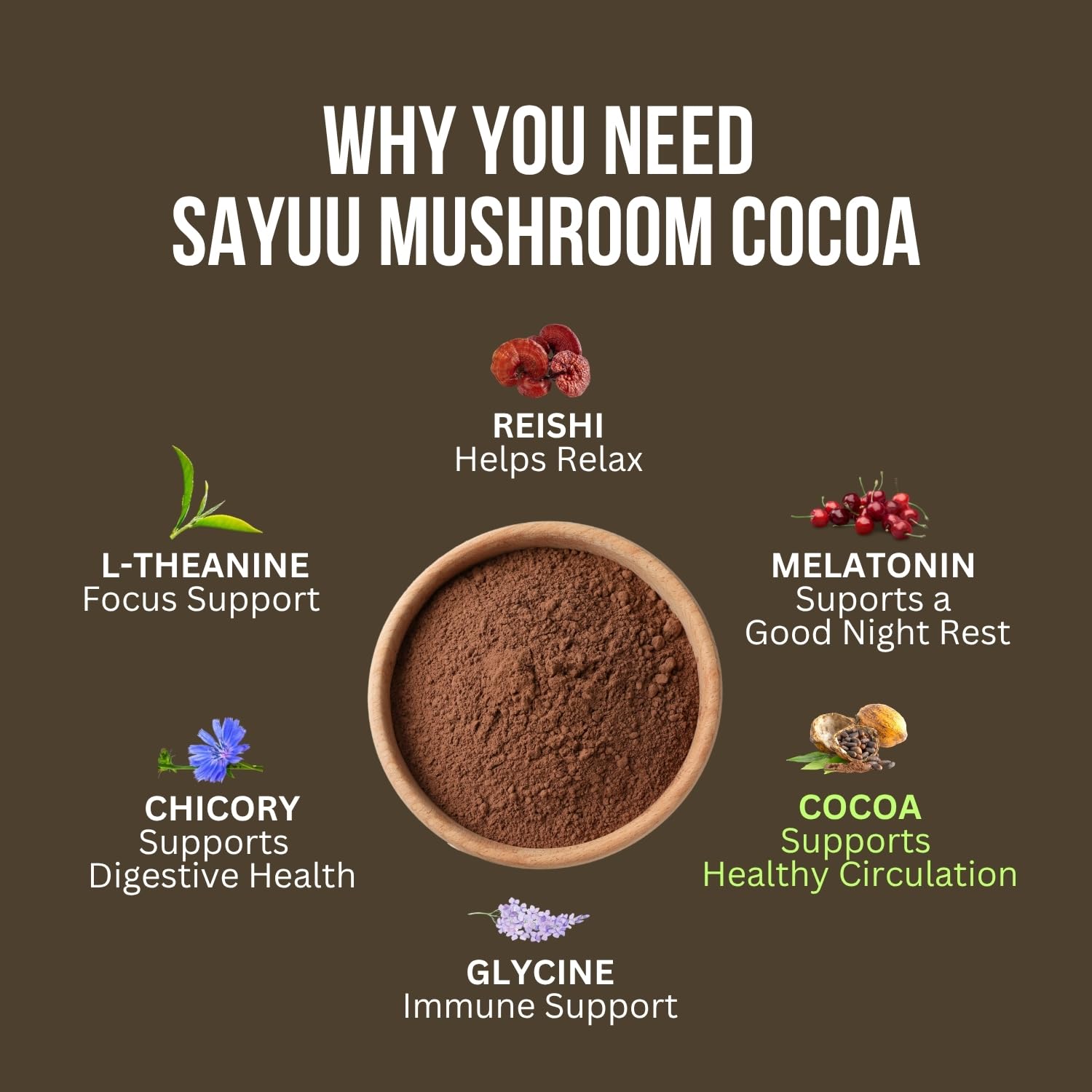 SAYUU Mushroom Coffee Hot Cocoa Mix –Instant Coffee Blend Enriched with Reishi, L-Theanine, Melatonin, Rich Cacao Flavor, Gut & Immune Health Support, Quick & Easy Bedtime Drink - 20 Servings