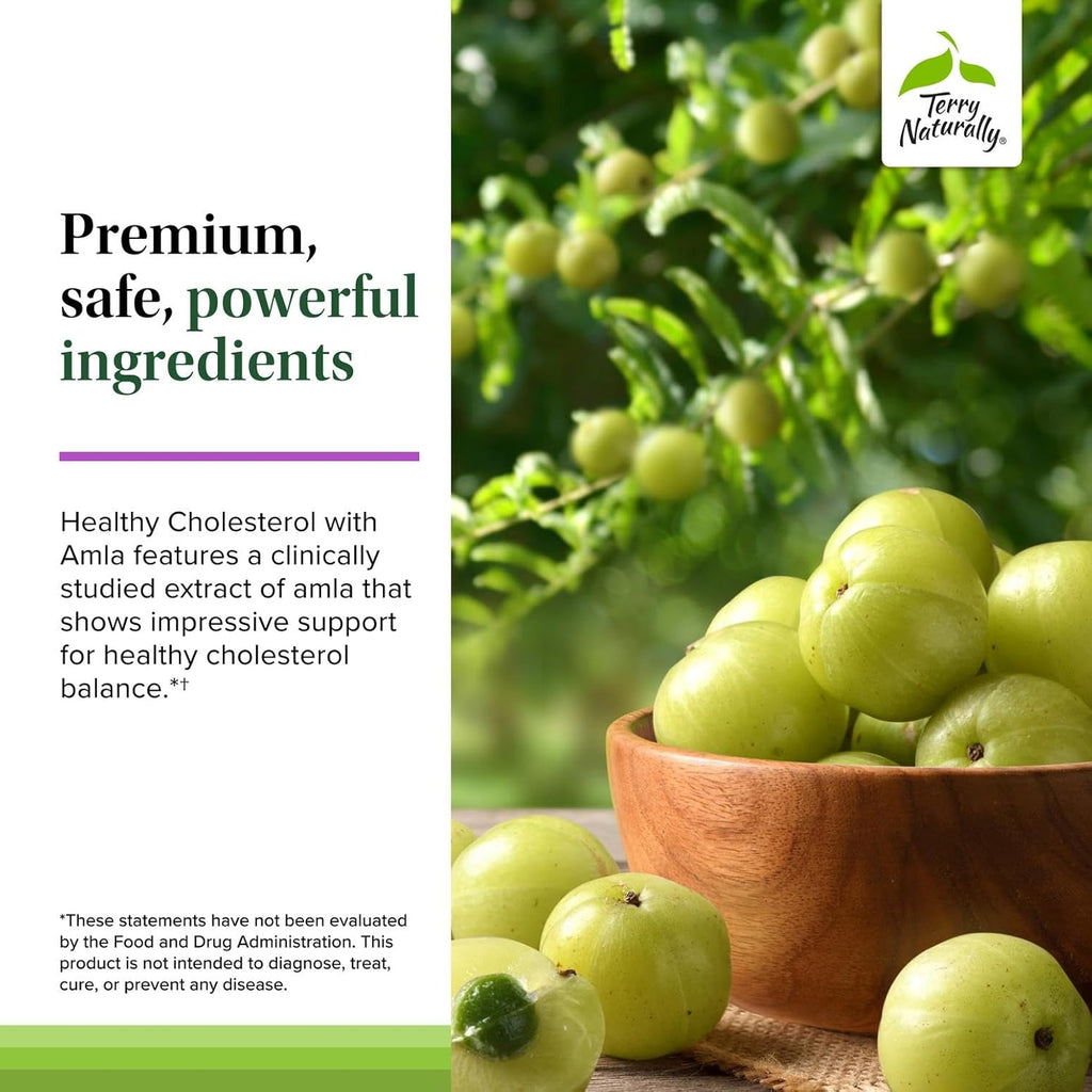 Terry Naturally Healthy Cholesterol with Amla - Antioxidant Supplement for Immune & Heart Support - Supplement to Aid Healthy Cholesterol & Triglyceride - 60 Capsules