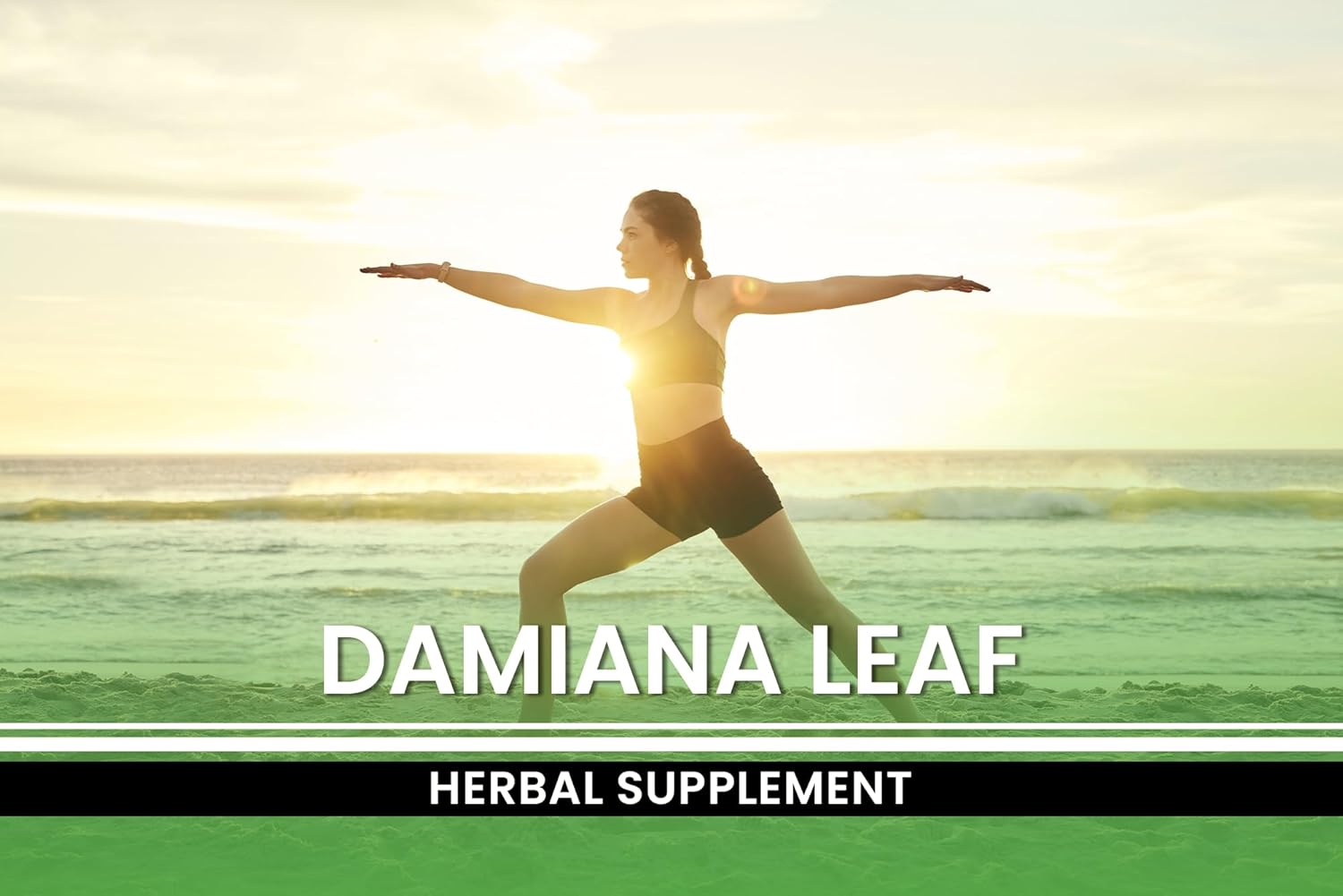 Pure Original Ingredients Chlorella (365 Capsules) No Magnesium Or Rice Fillers, Always Pure, Lab Verified