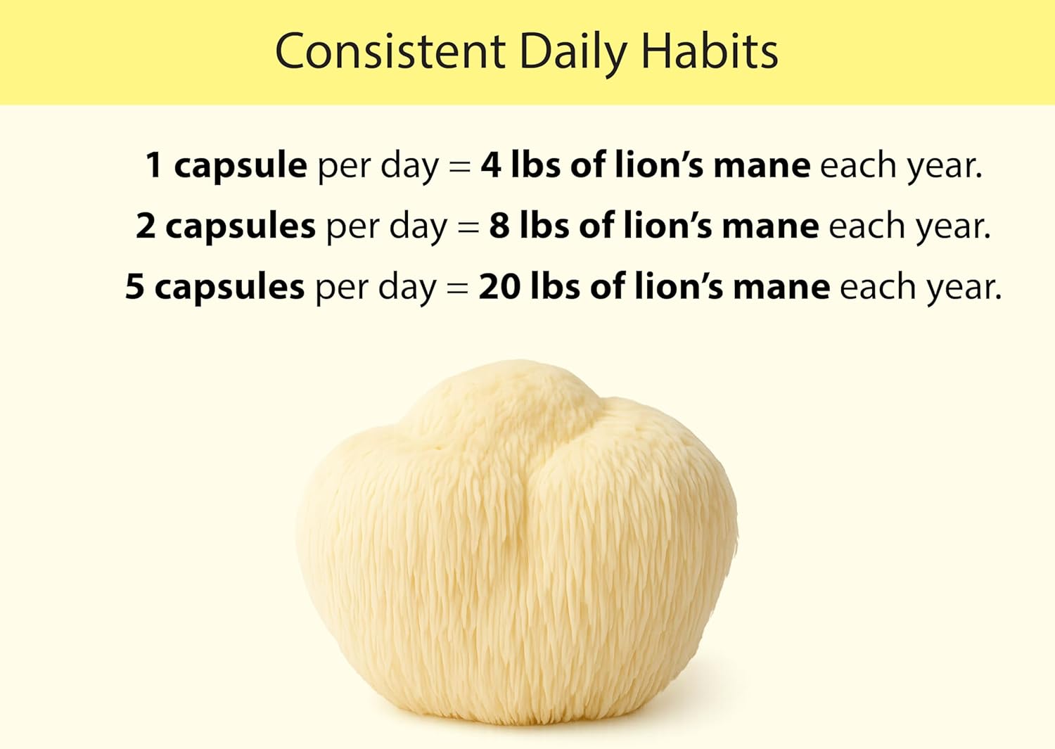 KOYAH - Organic Lion's Mane Mushroom Capsules - USA Grown, 100% Fruiting Body, Freeze-Dried, 3rd Party Tested for Beta-Glucans, 500 mg, Brain & Nerve Support. Immune Support. 60 Capsules