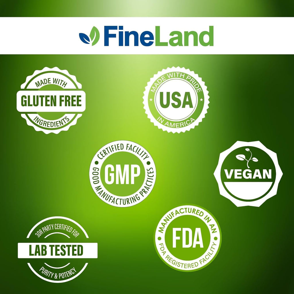FineLand Amla (Indian Gooseberry) 20X Full Spectrum Extract – 30,600mg Equivalent per Serving with BioPerine® for Absorption, Rich in Natural Vitamin C, Immune & Digestive Support – 90 Vegan Capsules