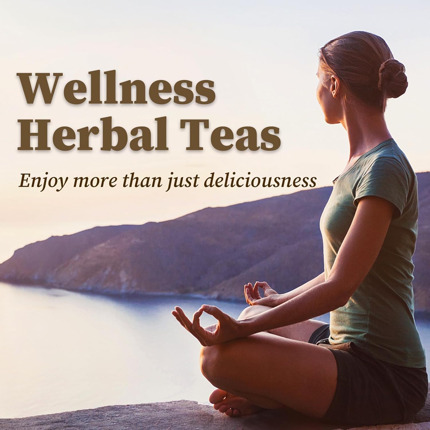 FullChea - Diverse All-Natural Herbal Tea Collection - Variety Pack for Easy Brewing - Ginseng Tea /60 Count (Pack of 1)