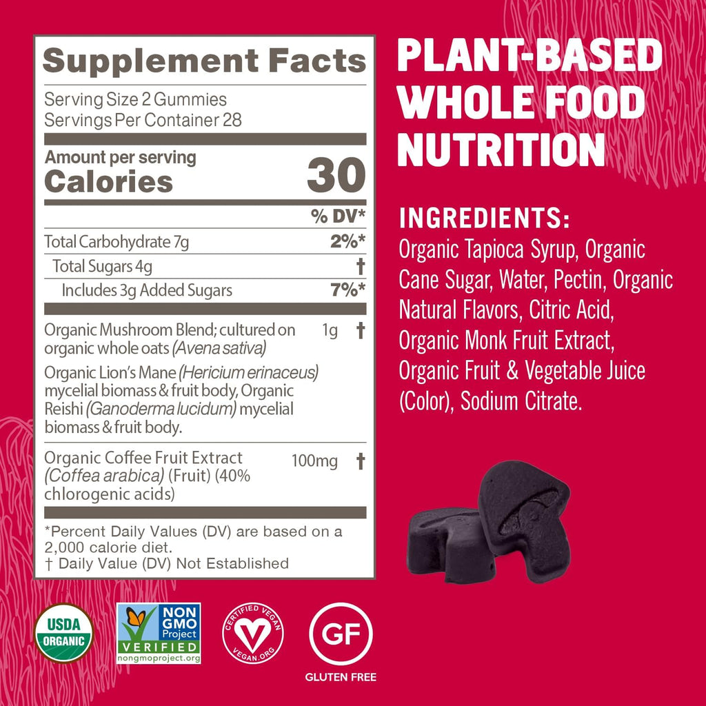 OM MUSHROOM SUPERFOOD Brain Fuel+ Gummies, 28 Servings, Raspberry Gummy Supplement with Lion’s Mane for Memory and Focus