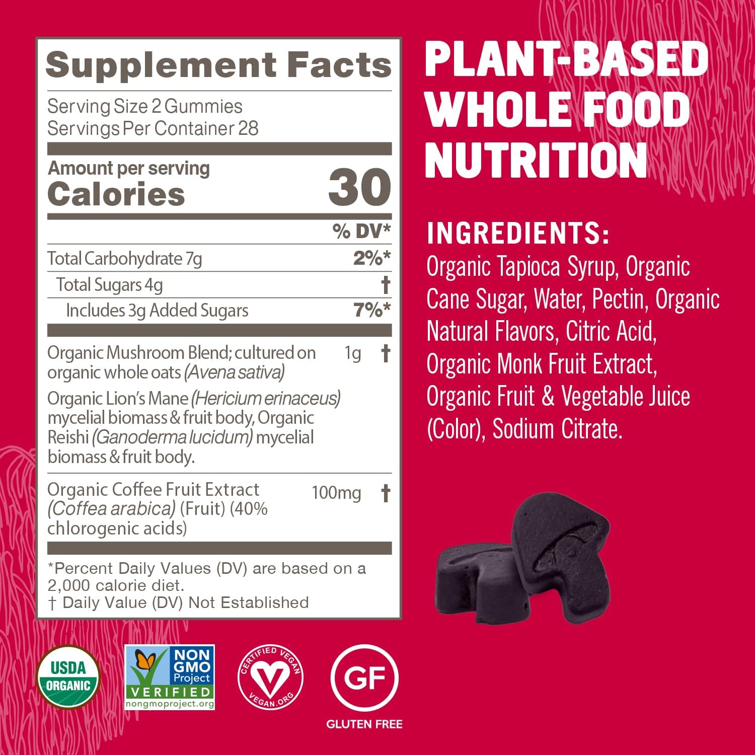 OM MUSHROOM SUPERFOOD Brain Fuel+ Gummies, 28 Servings, Raspberry Gummy Supplement with Lion’s Mane for Memory and Focus